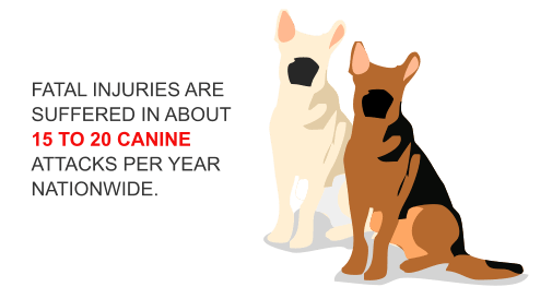 Fatal injuries are suffered in about 15 to 20 canine attacks per year nationwide.